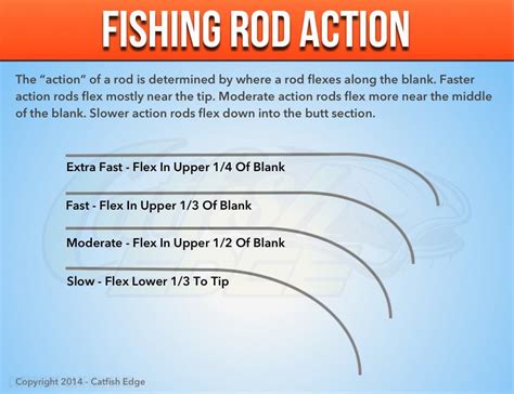 how heavy should my rod and line be chanel catfish|channel cat fish rods.